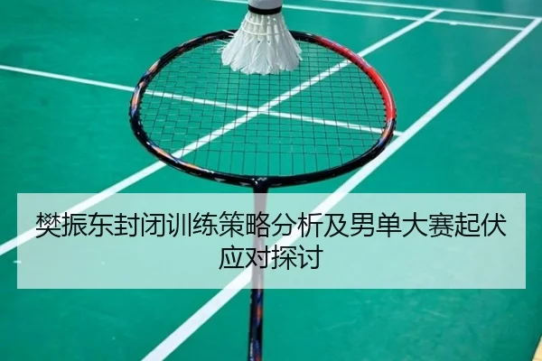 樊振东封闭训练策略分析及男单大赛起伏应对探讨